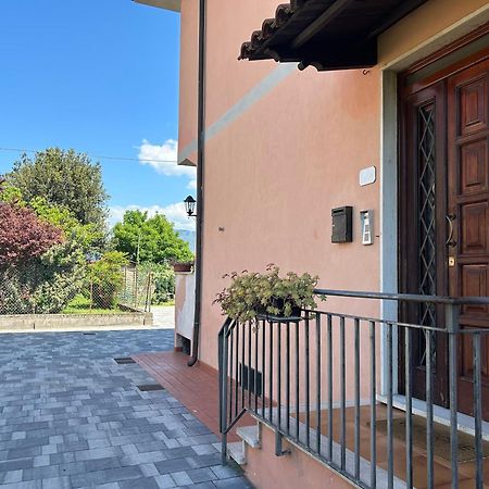 Apartamento Albi'S House,Terrazza ,Wi-Fi, Parcheggio, Ac Lucca Exterior foto