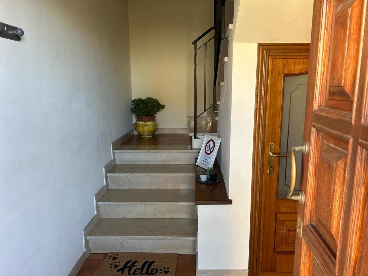Apartamento Albi'S House,Terrazza ,Wi-Fi, Parcheggio, Ac Lucca Exterior foto